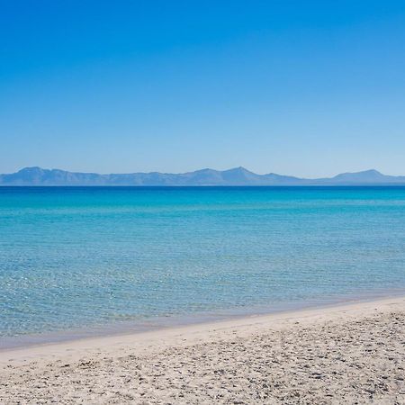 Ideal Property Mallorca - Casa Pinar アルクディア エクステリア 写真