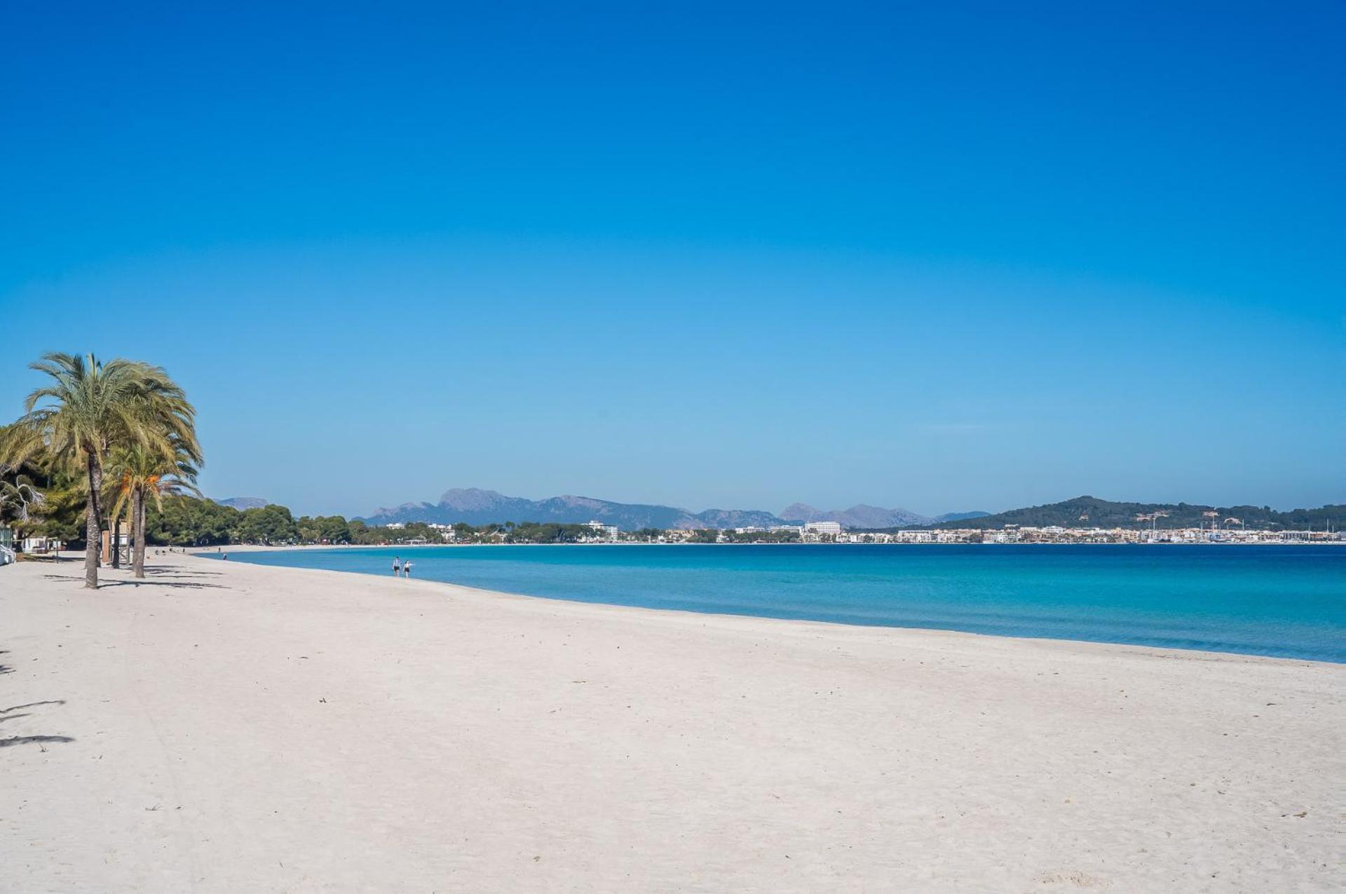 Ideal Property Mallorca - Casa Pinar アルクディア エクステリア 写真
