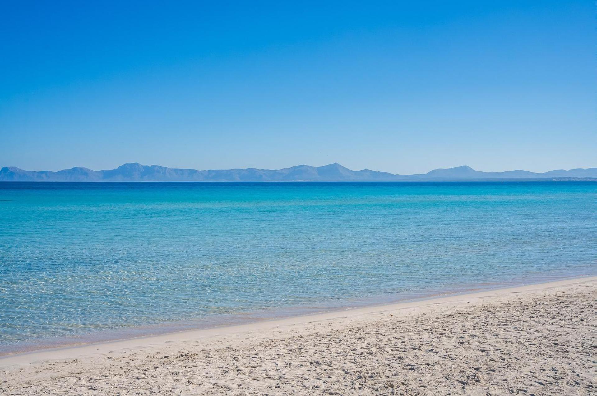 Ideal Property Mallorca - Casa Pinar アルクディア エクステリア 写真